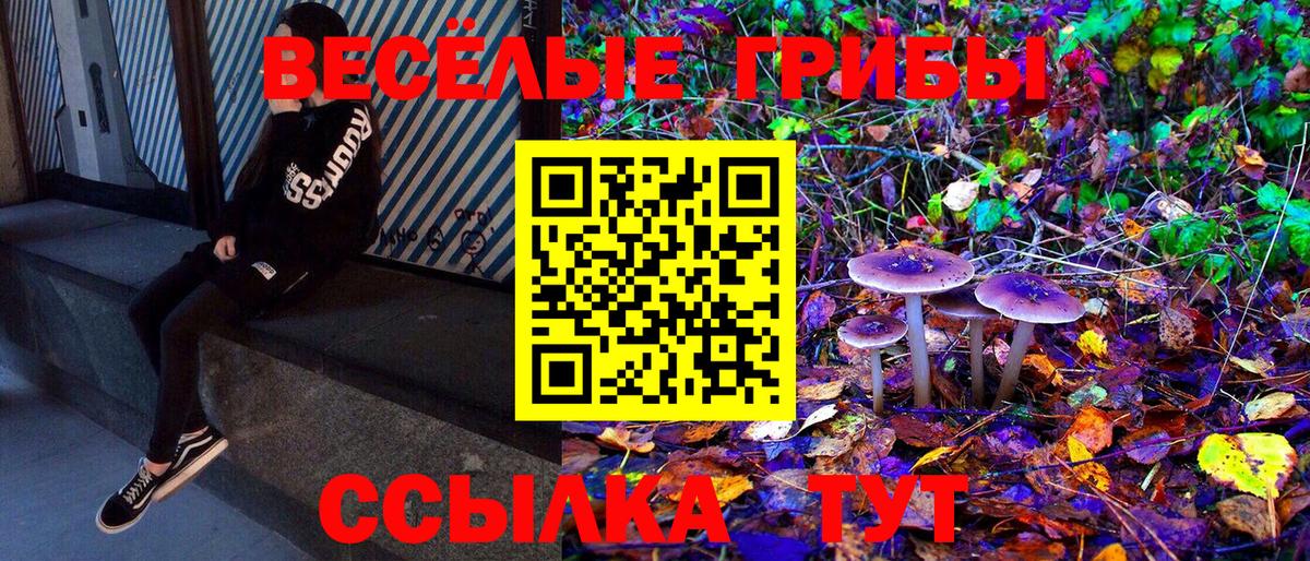 Галлюциногенные грибы MAGIC MUSHROOMS  Псилоцибиновые грибы Psilocybe  закладка  Арзамас  Вход с VPN 